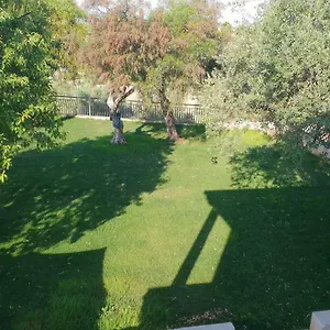 Teodora House Bed & Breakfast